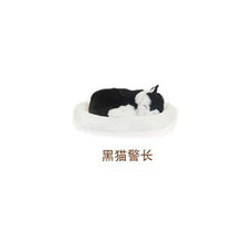 Load image into Gallery viewer, Kawaii Plush toys Simulation cat interactive toys breathing cat Stuffed Toys for children animal model